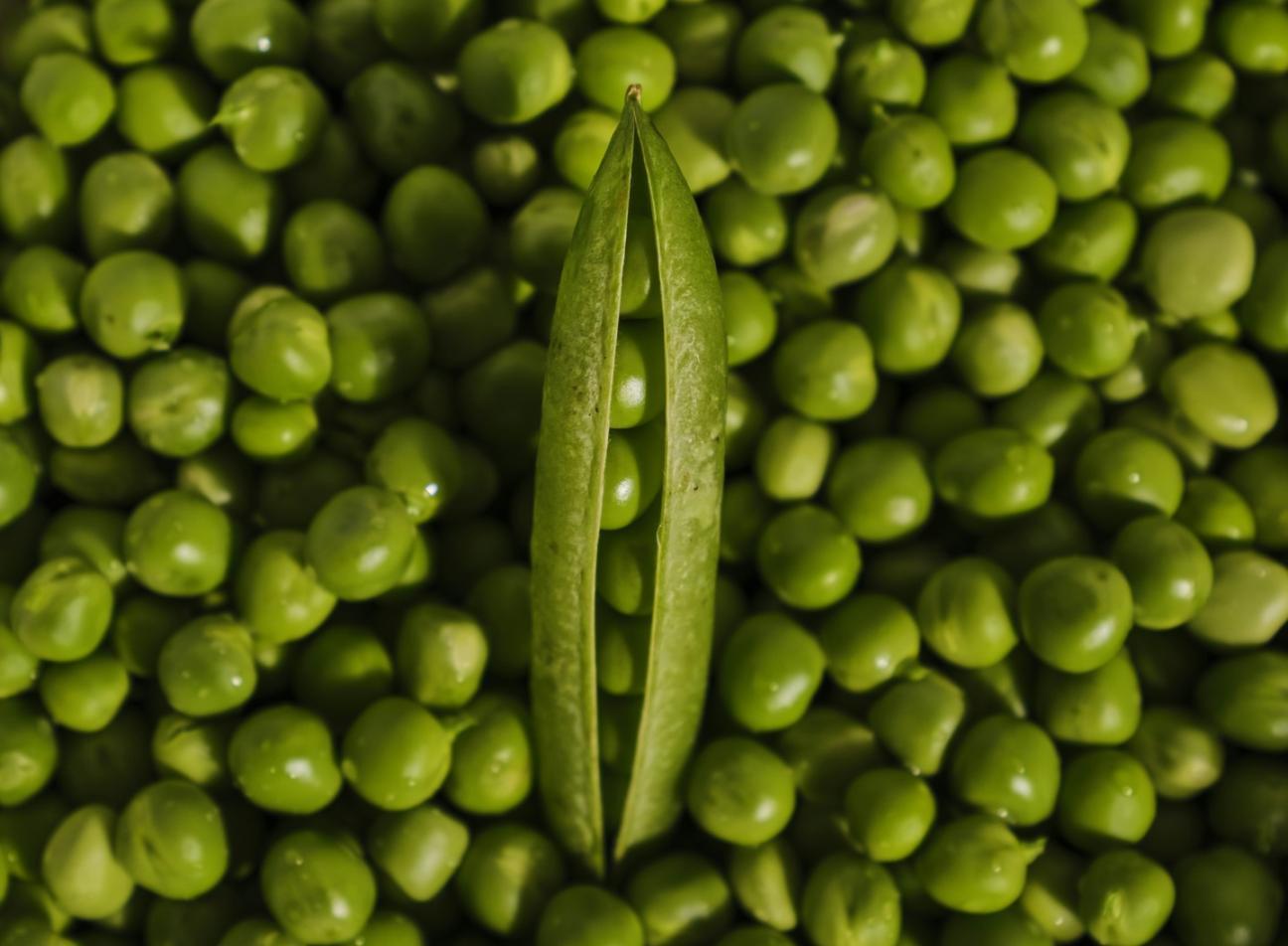 Precision sous-vide cooking setup with controlled temperature bath